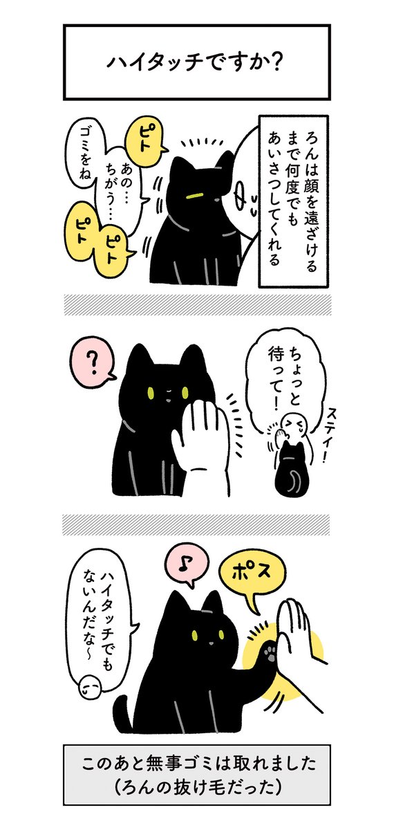 ねこの顔についてる抜け毛を取ってあげようとしただけなのに、こちらが大サービスしてもらったときの絵日記(3まい) #ろんの絵日記 