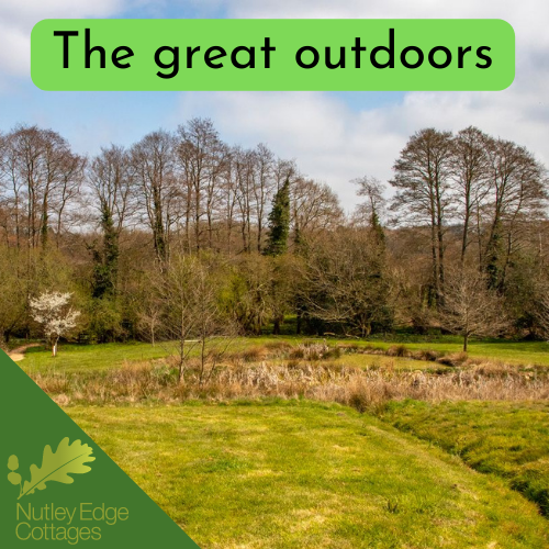 Nutley Edge tweet media