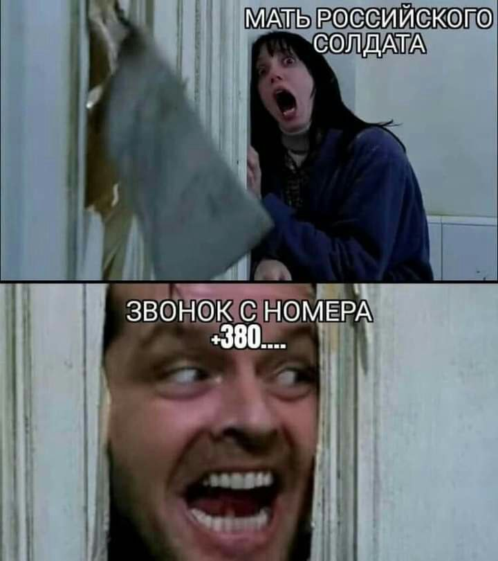 molotchino's tweet image. 