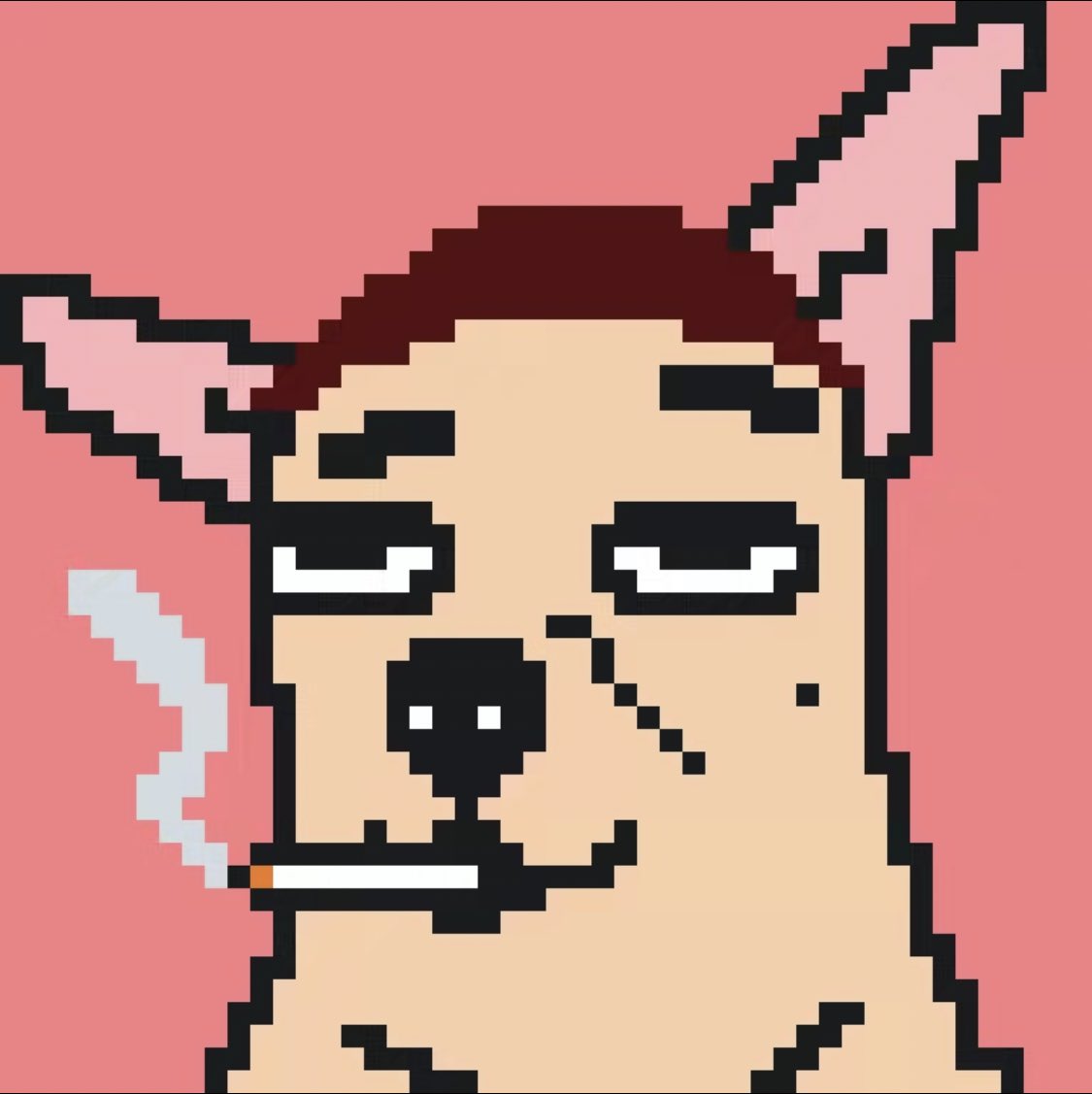 🌕🌖🌗🌘🌑🌒🌓🌔🌕