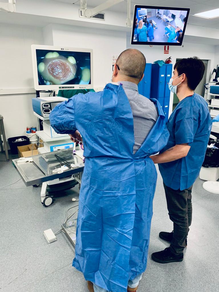 Saturday! 🥳 Having fun and learning #PartialNephrectomy in Salamanca with super-realistic #HandsOn training!

#urology #simulation #medical #surgery #laparoscopy cc <a href="/AntonioAlcarazA/">Antonio Alcaraz</a> <a href="/prokarurol/">Prof. Prokar Dasgupta OBE</a> <a href="/alexmottrie/">Alex Mottrie</a> <a href="/DrVitagliano/">Gonzalo Vitagliano</a> <a href="/dr_ocastillo/">Octavio Castillo</a> <a href="/DoctorSotelo/">Dr. René Sotelo</a> <a href="/fgomsan/">Fernando GomezSancha</a> <a href="/javiermachuca6/">Francisco Javier Machuca</a>