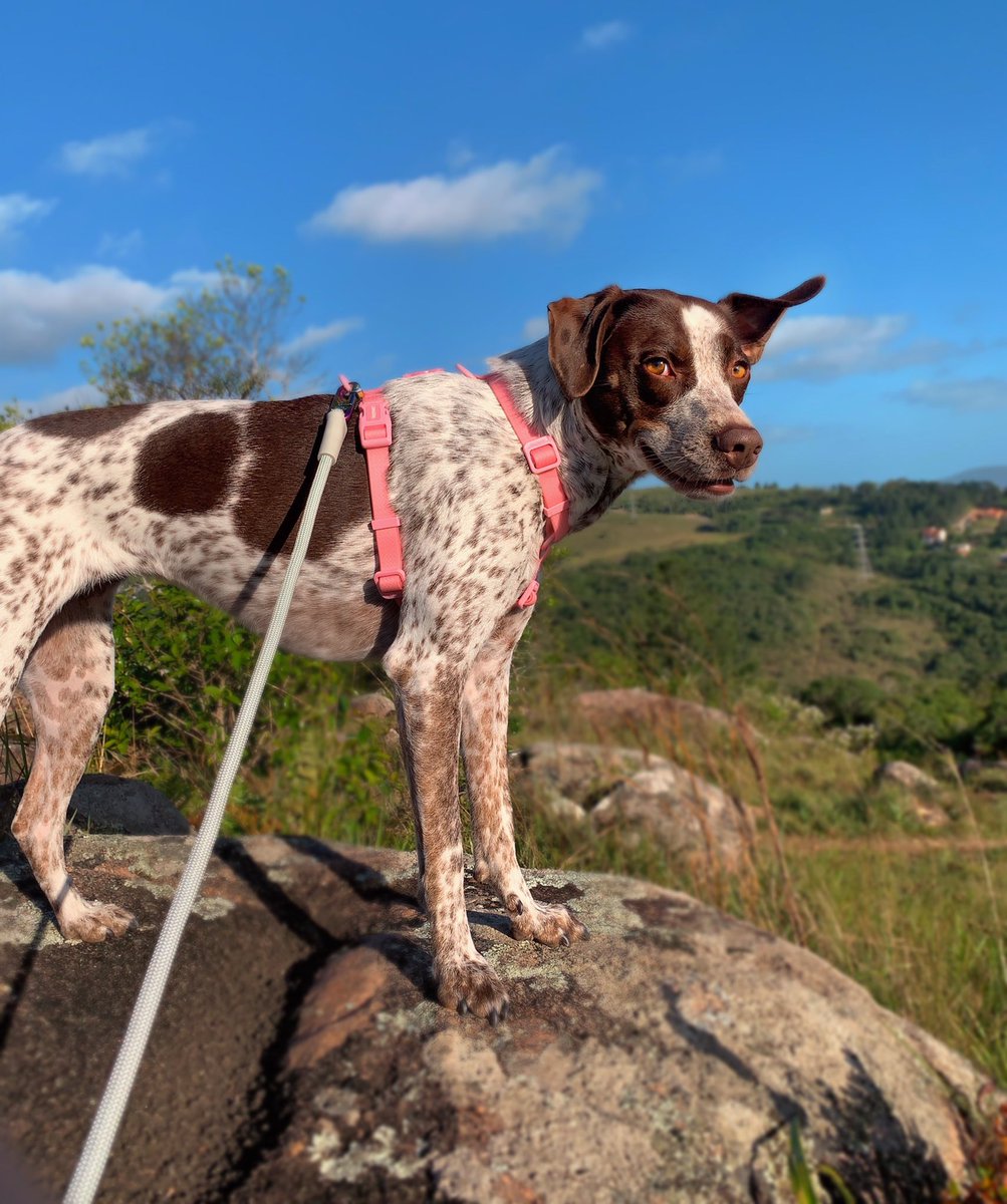 LUKE & ARYA tweet media