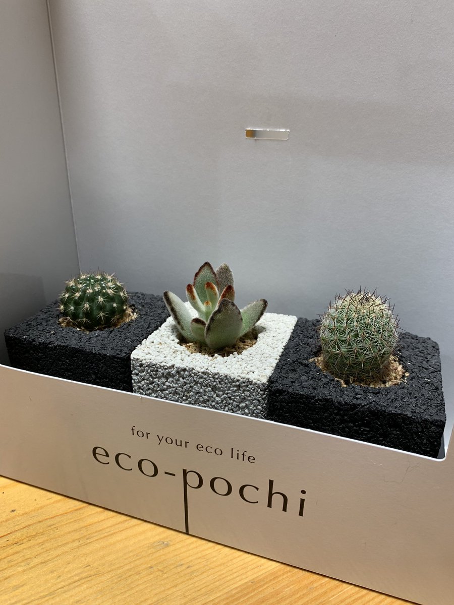 KERO2WORKS's tweet photo. 可愛いの発見、
仕事場用にゲットした。 https://t.co/H9Vb7EdXrx
