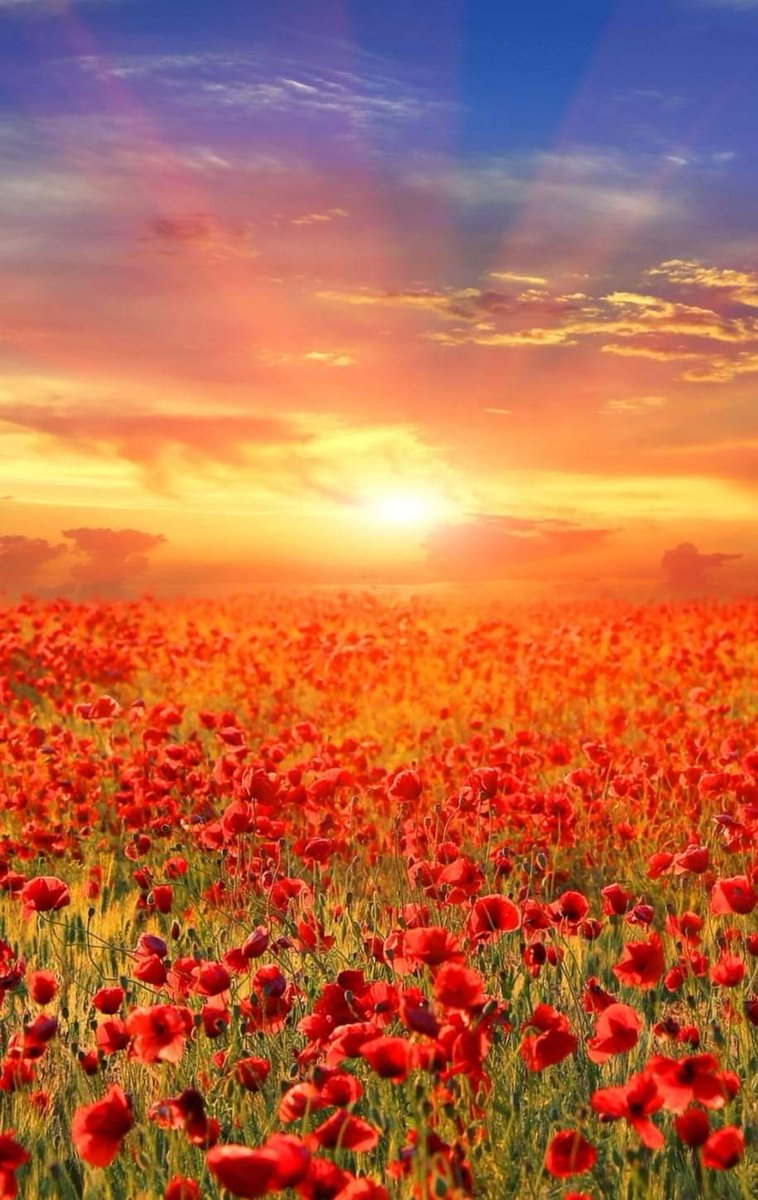 Buenos días corazones, vamos a intentar que este sábado sea muy especial❤️