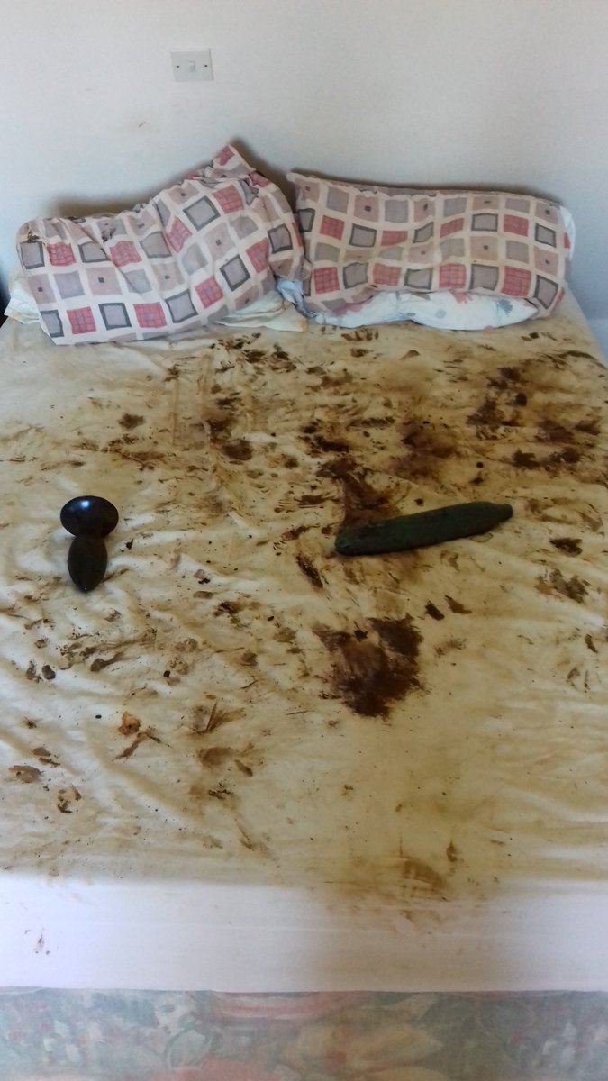 Arrigo65's tweet photo. Another pic of my bed after last weekends scat session with my bud 💩 https://t.co/y6UAuV3yWx