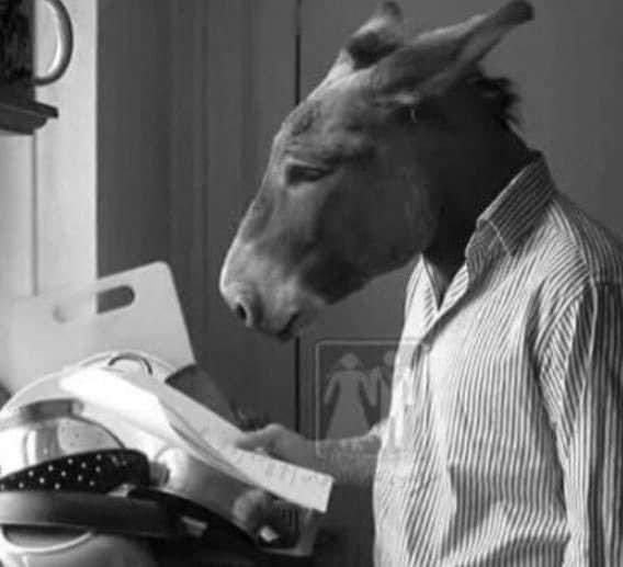 فتح الحمار دفترمذكراته اليوميه وكتب فيه لا أعرف كم مضى من الوقت على رحيل الأسد من الغابه لكنني وصلت في نهايه عمري لقناعة قاسيه مفادها أن دكتاتوريه الأسدأفضل من حرية القرده والكلاب فهو لم يستعبدنا بل كان يحمينا من قرود باعت نصف الغابه من اجل الموزوكلاب باعت نصفهاالاخرمن اجل العظام