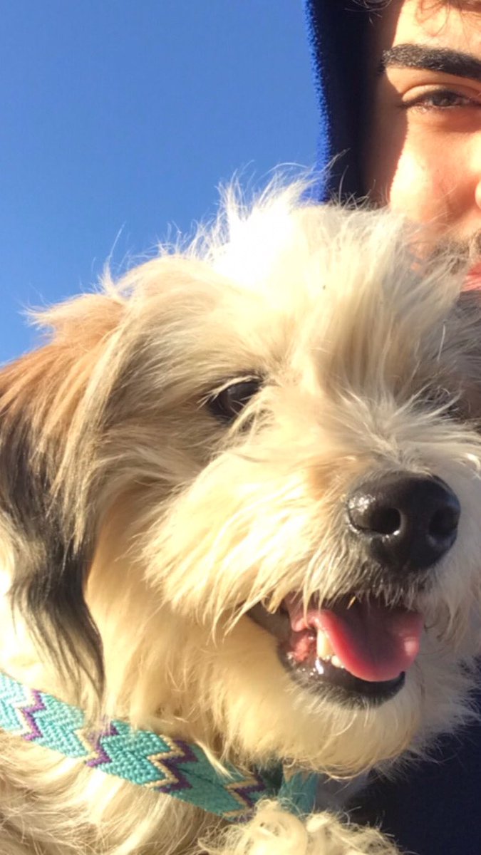 derdimi anlayan tek dostum ektedir🥰