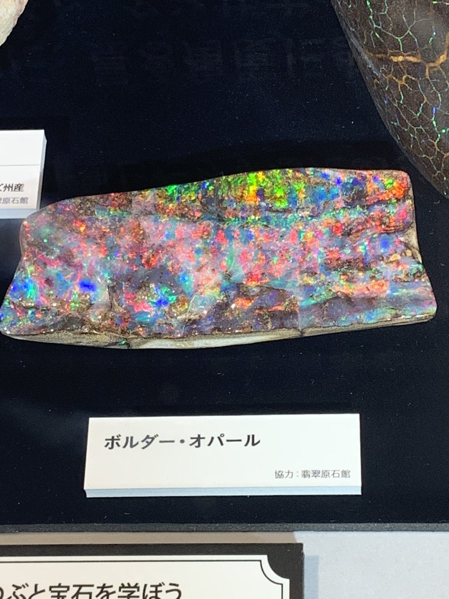 NnMinerals's tweet photo. 上野の宝石展行ってきました☺️
入ってすぐアメシストドームに出迎えられ、大きい鉱物コーナー幸せ空間だった。。。
ボルダーオパール圧巻🥺🥺🥺🥺🥺🥺🥺 https://t.co/Tq7Zz3jYlI