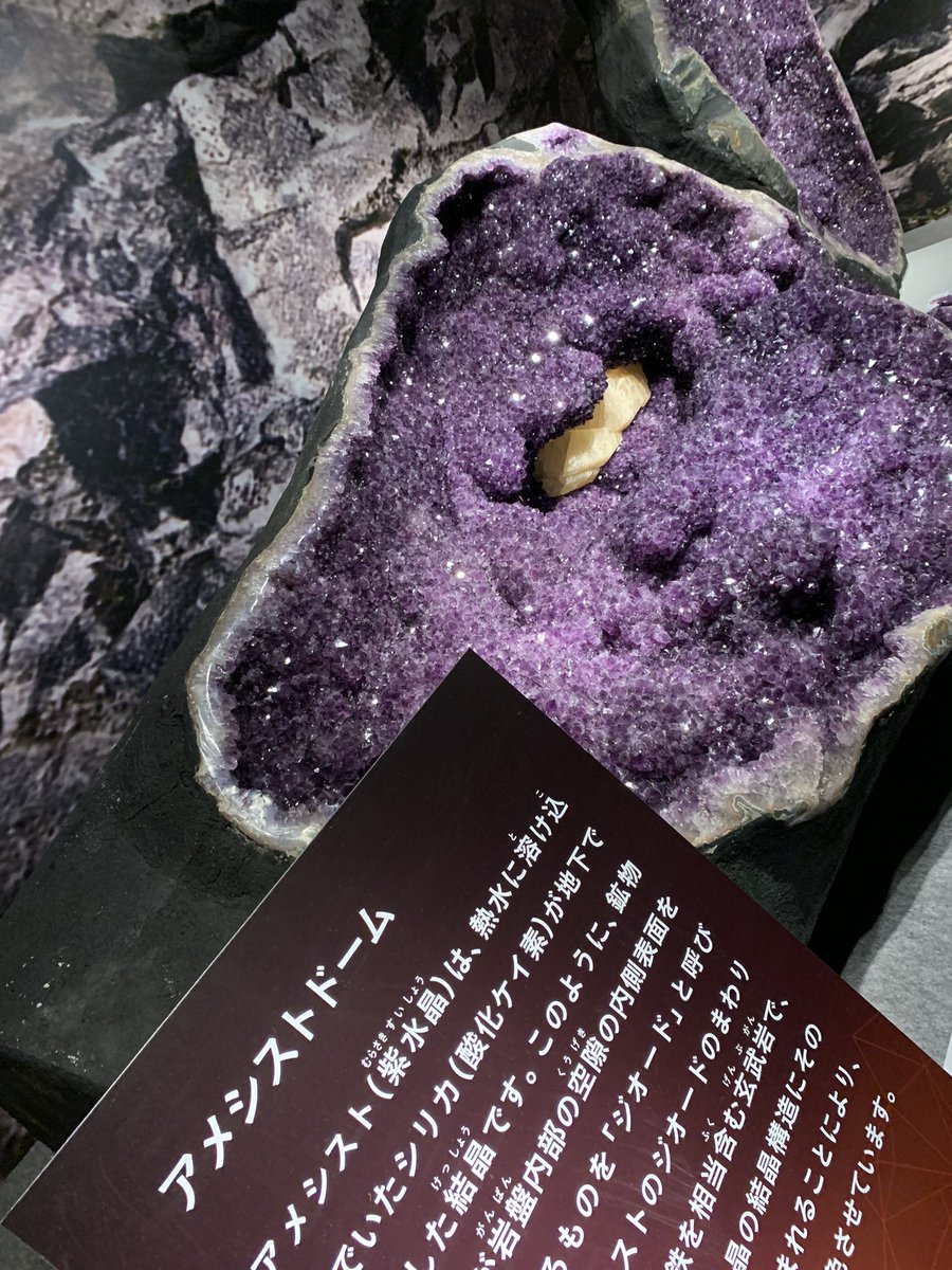 NnMinerals's tweet photo. 上野の宝石展行ってきました☺️
入ってすぐアメシストドームに出迎えられ、大きい鉱物コーナー幸せ空間だった。。。
ボルダーオパール圧巻🥺🥺🥺🥺🥺🥺🥺 https://t.co/Tq7Zz3jYlI