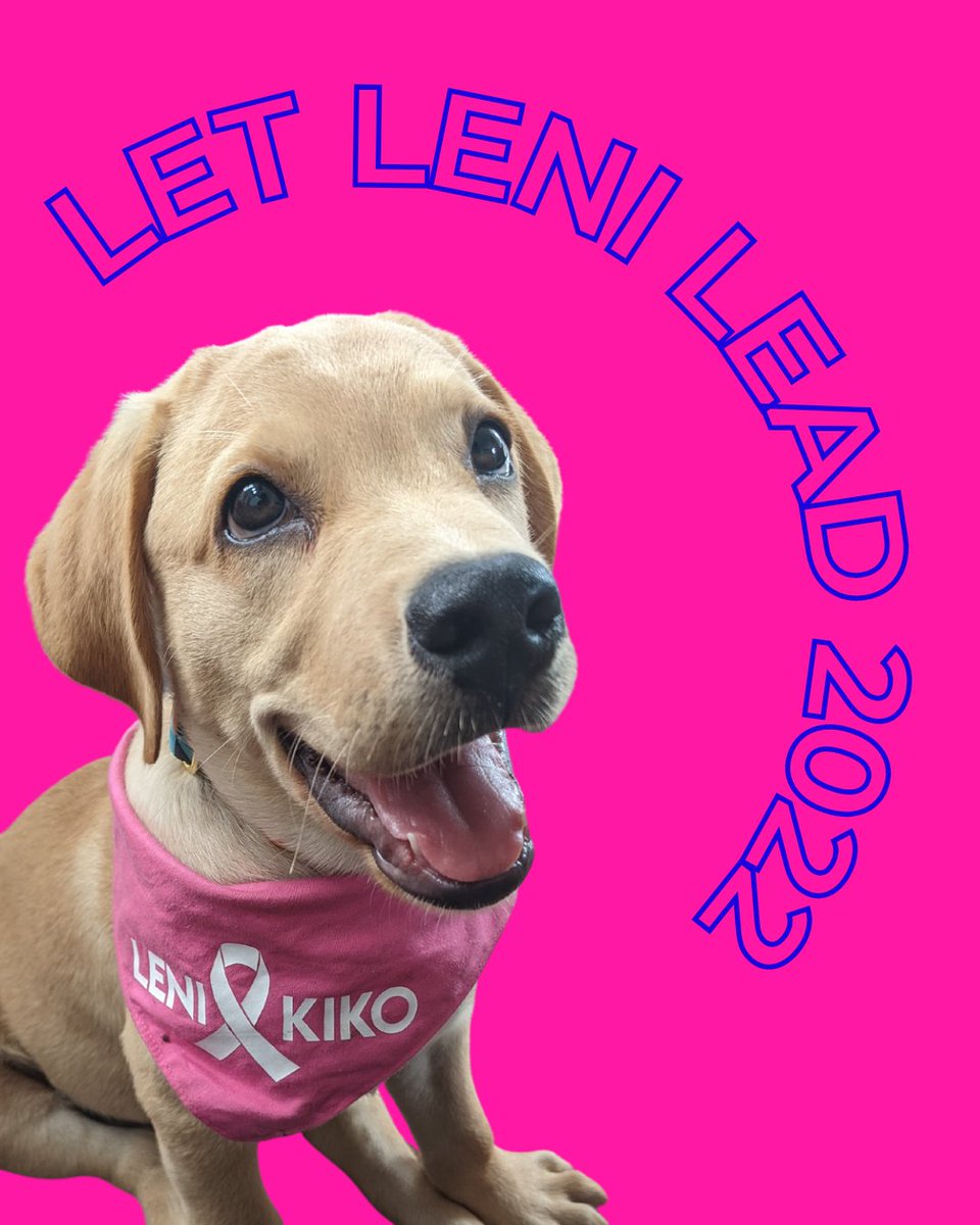 ohmyjadd's tweet image. Bourbon supports Leni-Kiko tandem.

#Kakampink
#GobyernongTapatAngatBuhayLahat 
#PetsForLeni

@lenirobredo @kikopangilinan