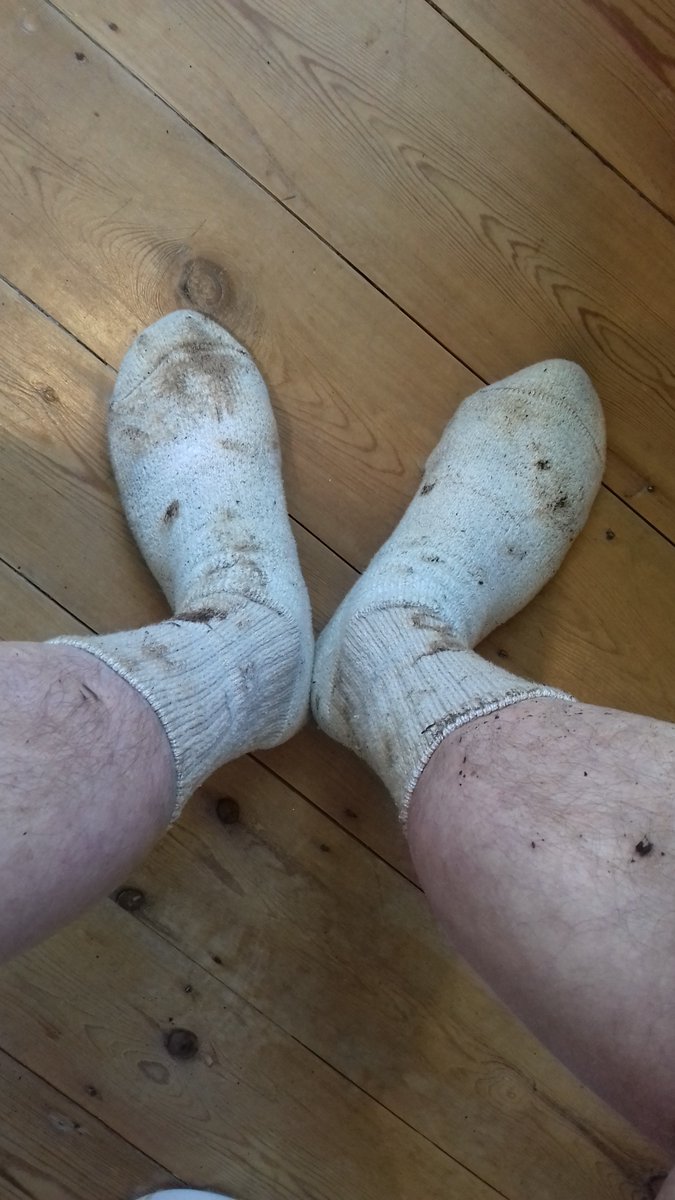 Arrigo65's tweet photo. I love wandering around the next day after a scat session wearing stinky socks 💩 https://t.co/I3rqs5jRsP