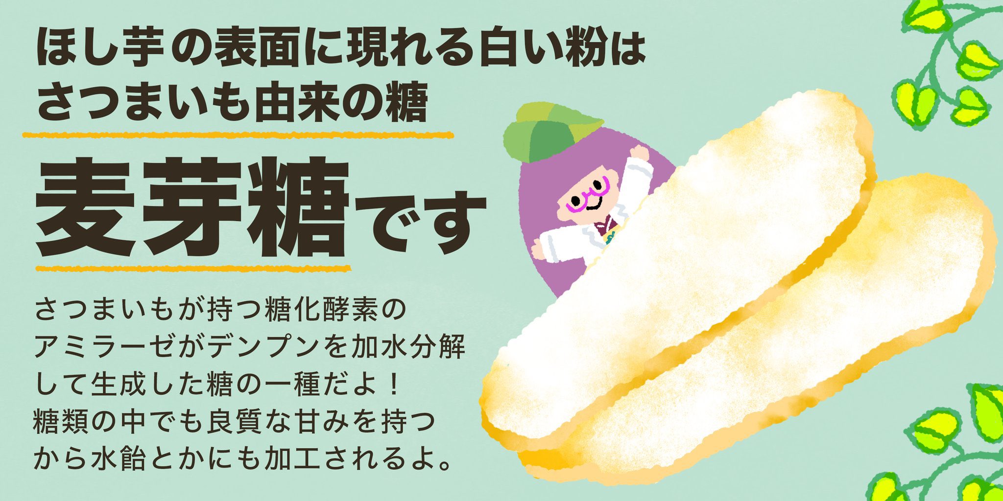 いも工房 干し芋の表面についている白い粉は 干し芋から染み出した糖分が表面で 結晶化した 麦芽糖と呼ばれる糖 無添加の干し芋は糖分が斑点状に なってポツポツ現れる場合が ありますが糖度の高いほし芋の 証拠です T Co Nfe6fg4fdh ほし