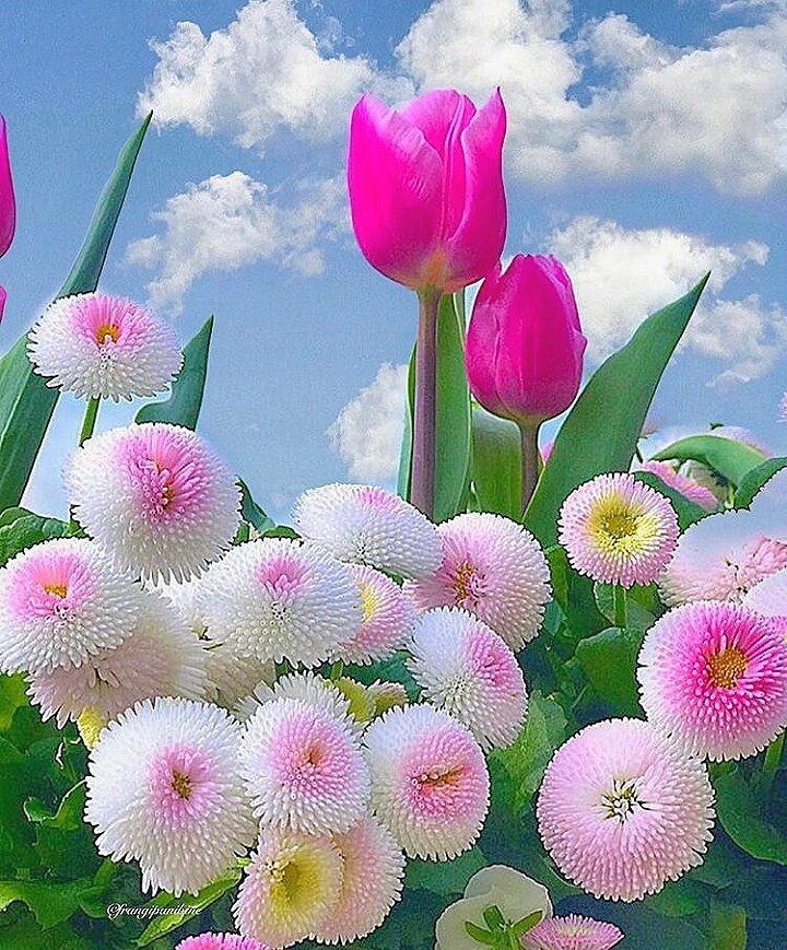 payelsarkarart's tweet image. According2 history of #WorldCivilization our ancestors,Patriots brought us freedom 4r our self-respect,wellbeing,rights.We all hv #emotions love respect gratitude 4r that endless🙏we r all privileged 2live freely in our countries.We must live peacefully,friendly.Plz b in #harmony