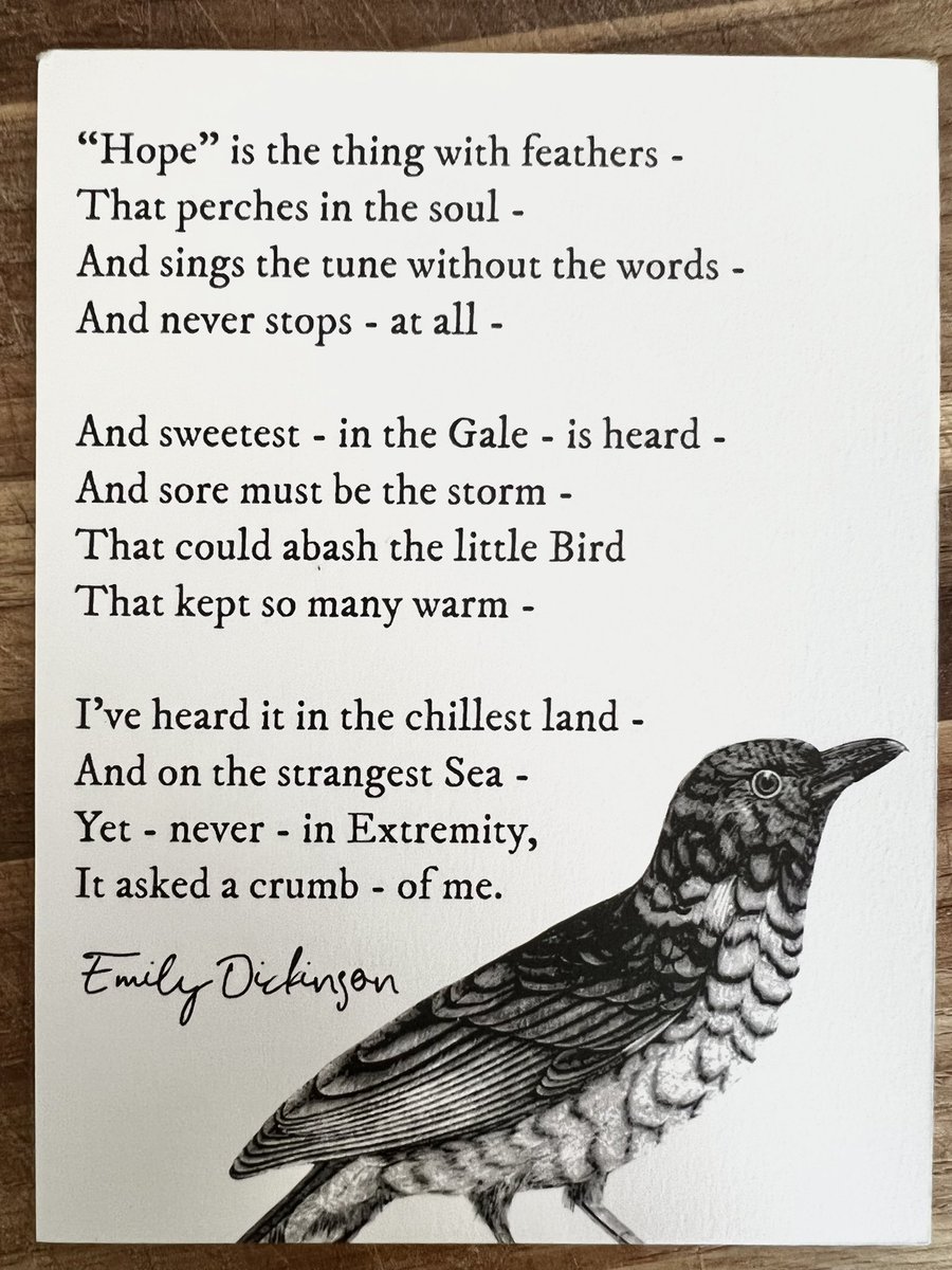 Melissa Duhaime tweet media