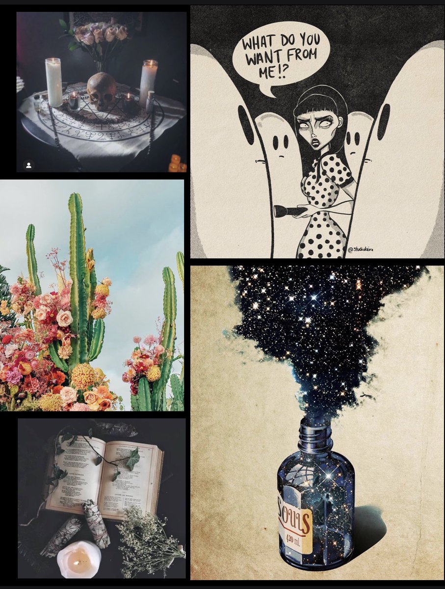 ✨ Not all lost souls belong to the dead ✨
When a psychic ignores the warning of her tarot deck, she is thrust into the dark world of a reaper and a witch. As she fights to find her mentor’s lost soul, she unearths a dormant power within herself to control death. #pitlight