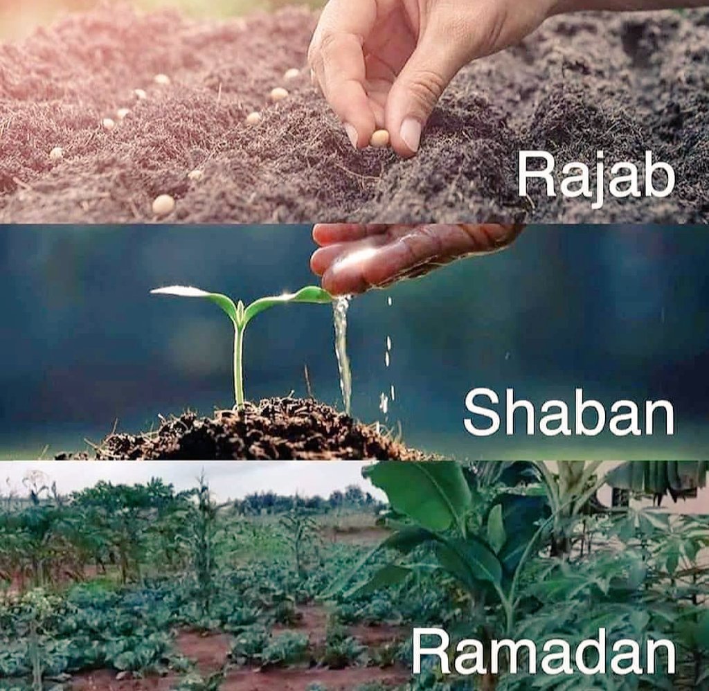 Ya Allah, I trust your timing.❤️
#Ramadan
