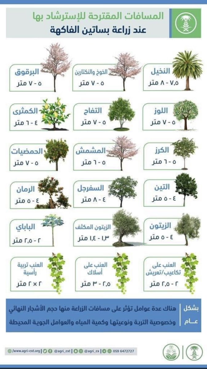 المسافات بين الأشجار المثمرة 🌳
