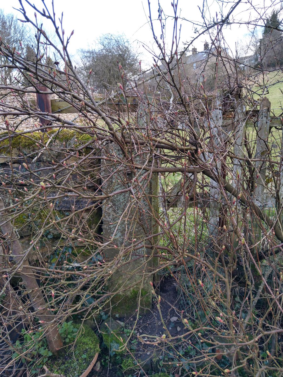 Rikkhep's tweet photo. @IWoosey @lakesstoops 
We have two in the garden 😊, though the gate is no longer in use.
#StoneStoopSaturday https://t.co/ceOrx3HWl1