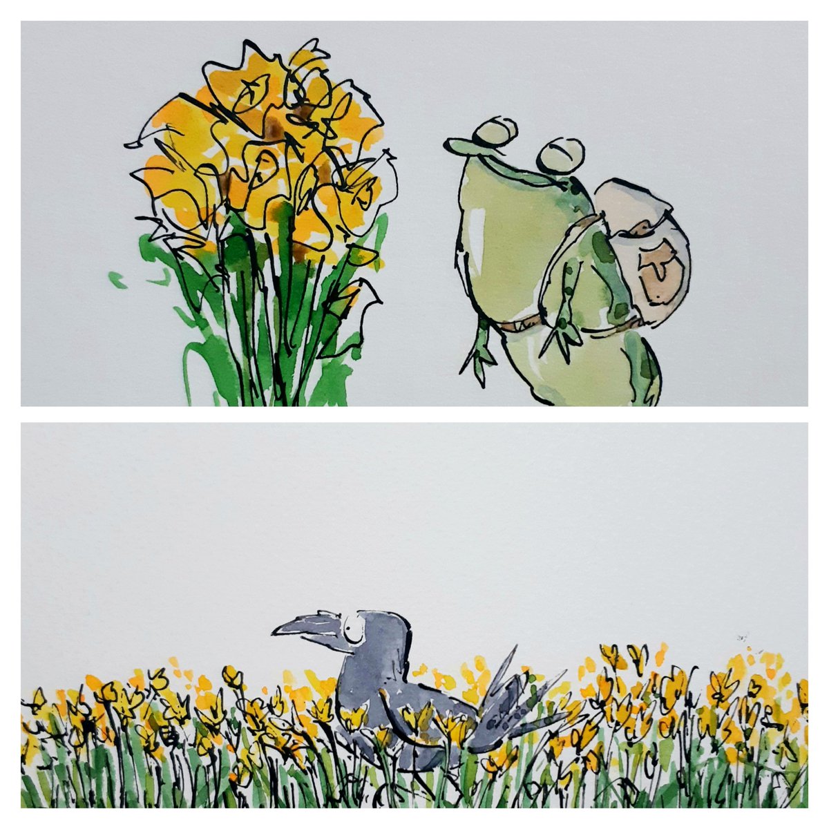 the sun is out here in the UK...and so are the Daffodils....