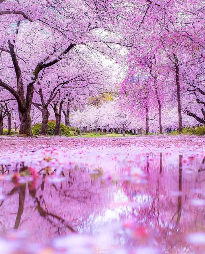 oliviajaayy's tweet photo. @FernandaFaria72 Have a peaceful weekend too https://t.co/enN3AAPJGn