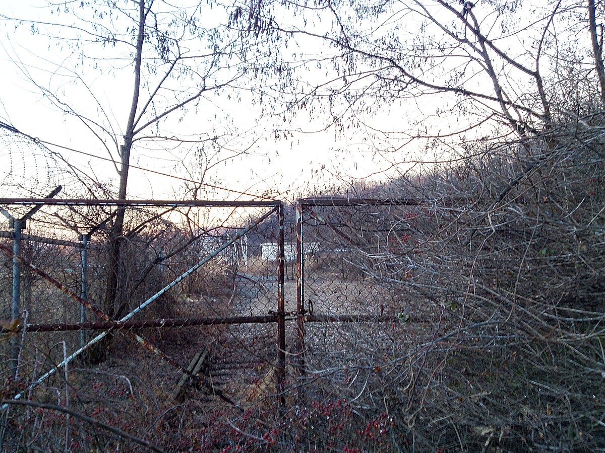 せき のりかず on Twitter