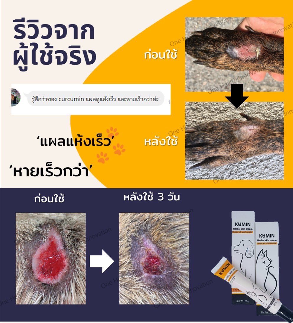 kumincream's tweet photo. มีรูปแผลนะคะ💢💢
.
.
.
.
.
.
.
.
.
ขอบคุณสำหรับรีวิวนะค้าา เจ้าของน้องหมาพูดเป็นเสียงเดียวกันว่าคุมินช่วยให้ 

‘แผลแห้งเร็ว หายเร็วกว่า’ อย่างเห็นได้ชัด จะแผลเล็กหรือใหญ่ใช้ได้หมดค่า

#รีวิวคุมิน #คุมิน https://t.co/5WdIvVnHXV