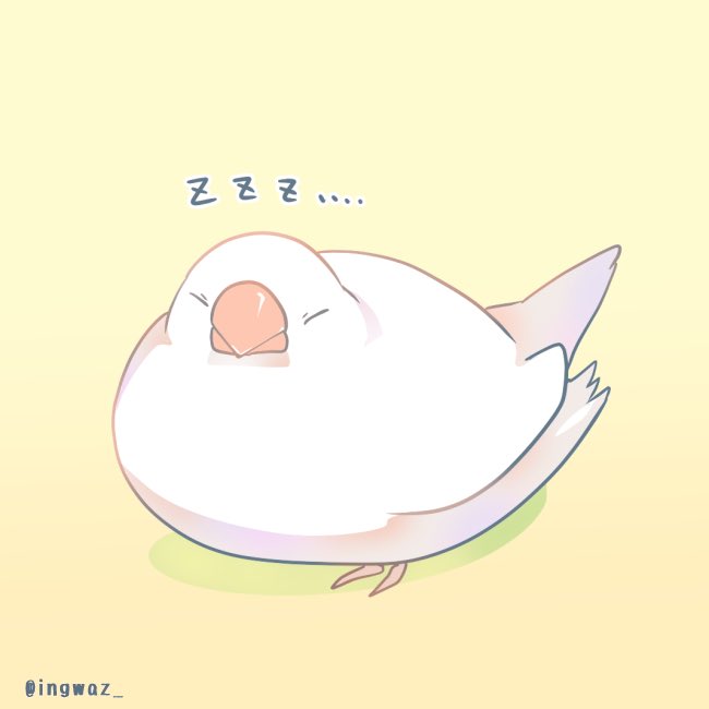 「文鳥」のTwitter画像/イラスト(新着))