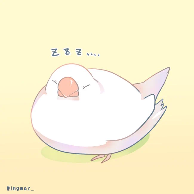 おやすみ

#buncho #javasparrow #文鳥 