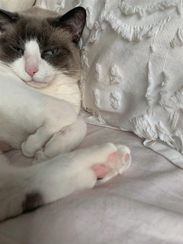 VincentRedStick's tweet image. harry.loveme.run
In fact you will laugh so hard that you will fall off your chair!