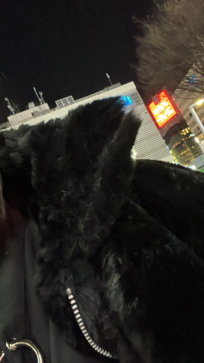 _k_de's tweet photo. もふもふの上にもふもふ https://t.co/fKNTIMOHUk