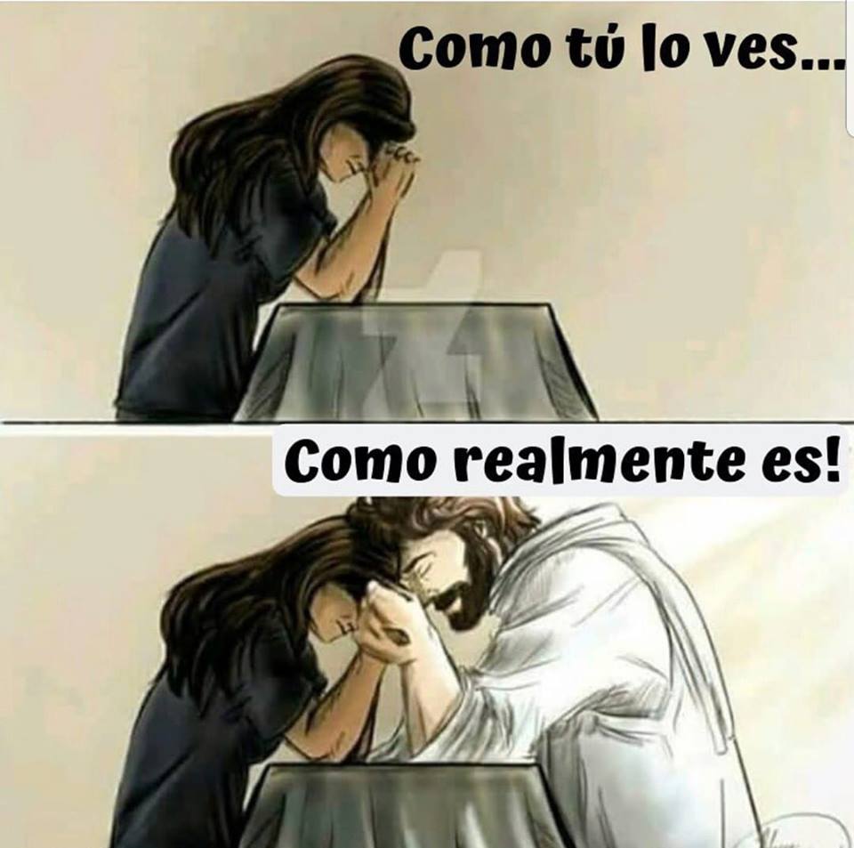 Pildorasdefe's tweet photo. *Señor, ten compasión de mí, que estoy sin fuerzas. Sáname, pues no puedo sostenerme. Aquí estoy, sumamente perturbado. ¿Hasta cuándo Señor? Vuélvete a mí, salva mi vida y líbrame por tu gran misericordia*. (Salmo 6,3-5) https://t.co/ja3K6COLD0