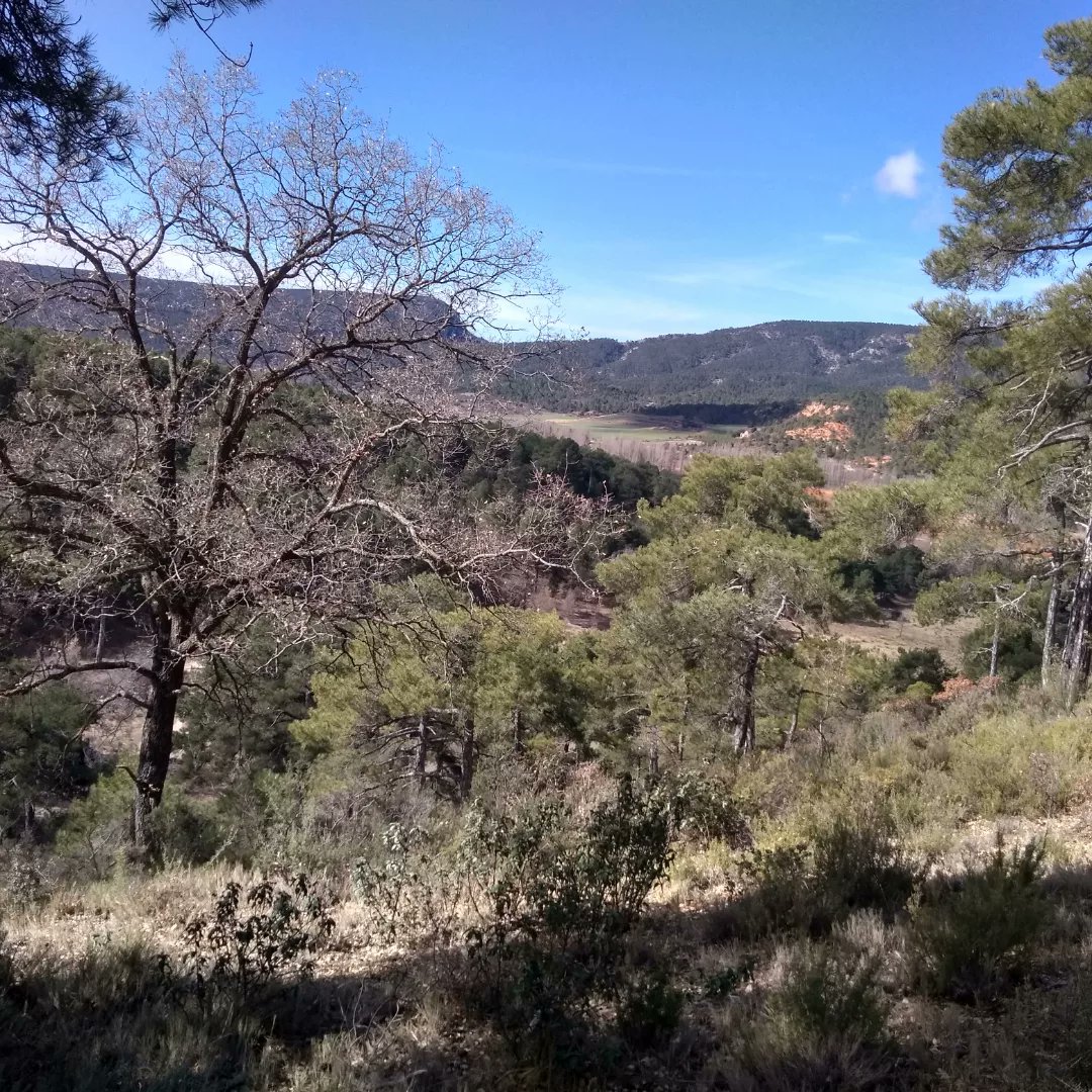 comcu's tweet image. Revisando los recorridos de las carreras del día 19 de marzo en Cañamares (Cuenca).

Inscripciones en: sico.fedo.org