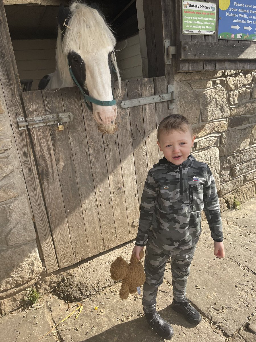 Rachael Fawcett tweet media