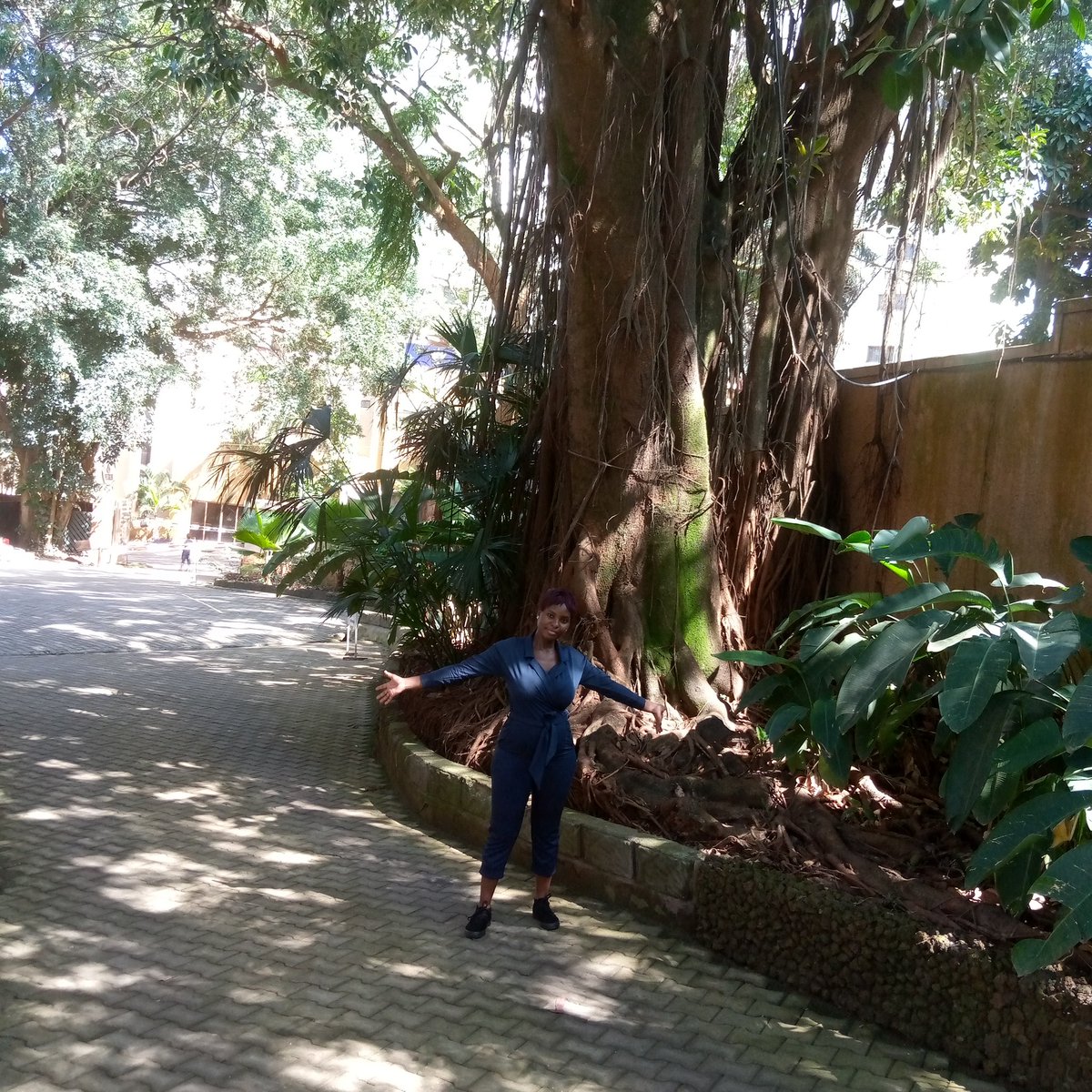 While capturing carbon is still a critical way forests slow the climate crisis, new research shows forests are essential for keeping the planet habitable by providing cooling as the planet heats up.
#ClimateReport