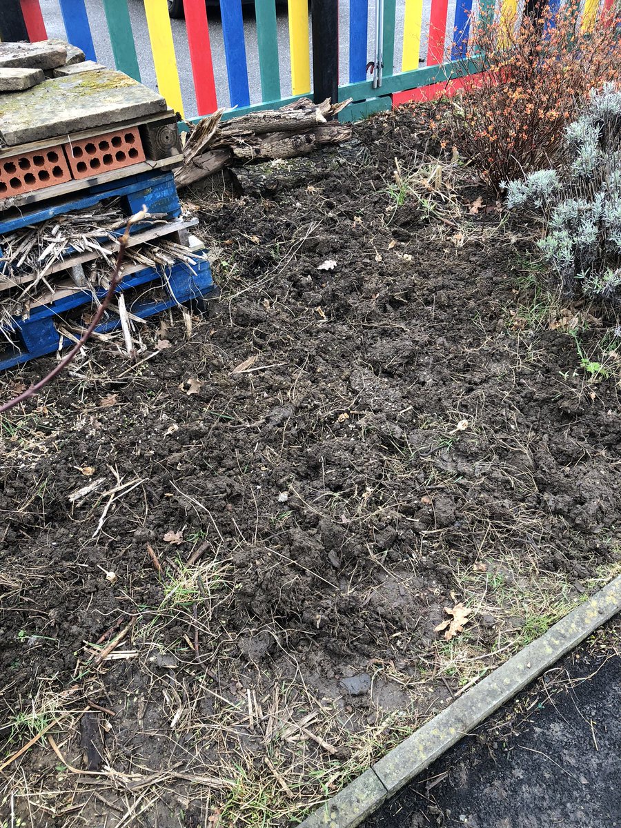 mvprimaryschool's tweet photo. A flower bed was prepared for a wide range of wild flower seed. #groundsday https://t.co/JhaK43jiHW