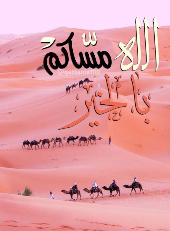 Waleed35755329's tweet photo. مساء الخير على جميع الاصدقاء https://t.co/p14CGC18Vn
