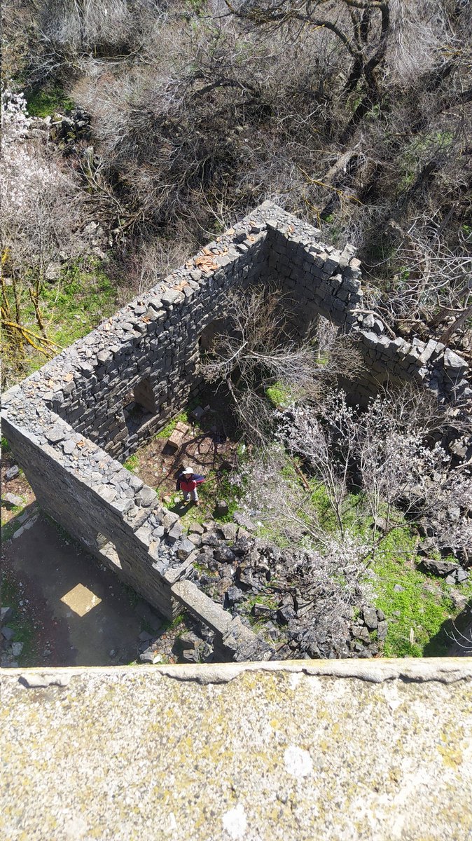 טוויטאפ עם <a href="/bakia_glilit/">בקיה</a>.