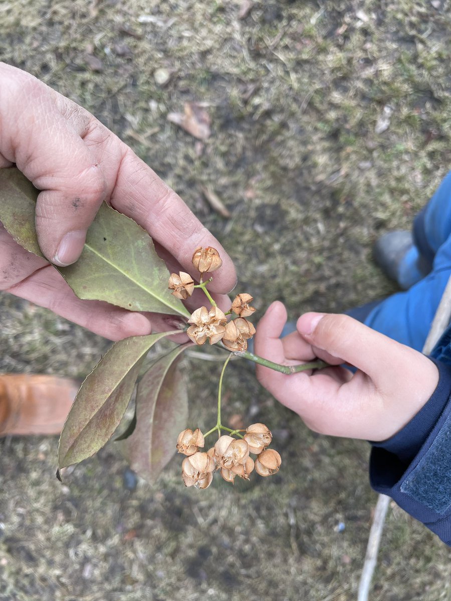 labOutdoors's tweet image. Land knowledge growing in playful relationship with children’s innate resourcefulness.  #eshlab