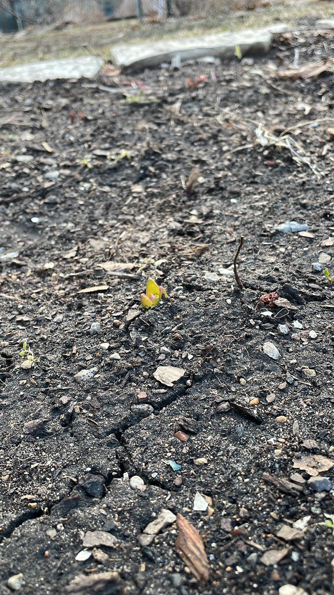 labOutdoors's tweet photo. In a month’s time! https://t.co/K1tYUJ3myK