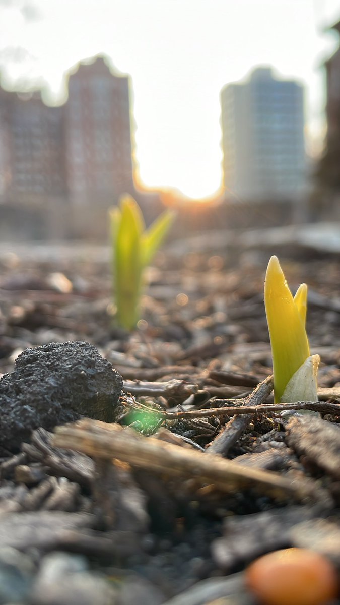 labOutdoors's tweet photo. In a month’s time! https://t.co/K1tYUJ3myK