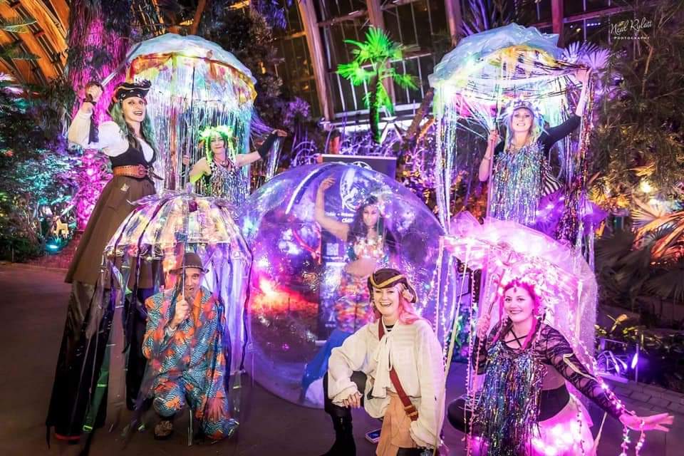 Aquatic Mermaids tweet media