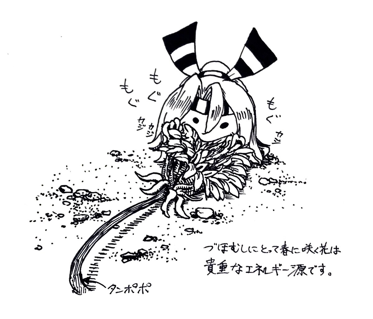 づほむしの生態レポート93  #づほむし 