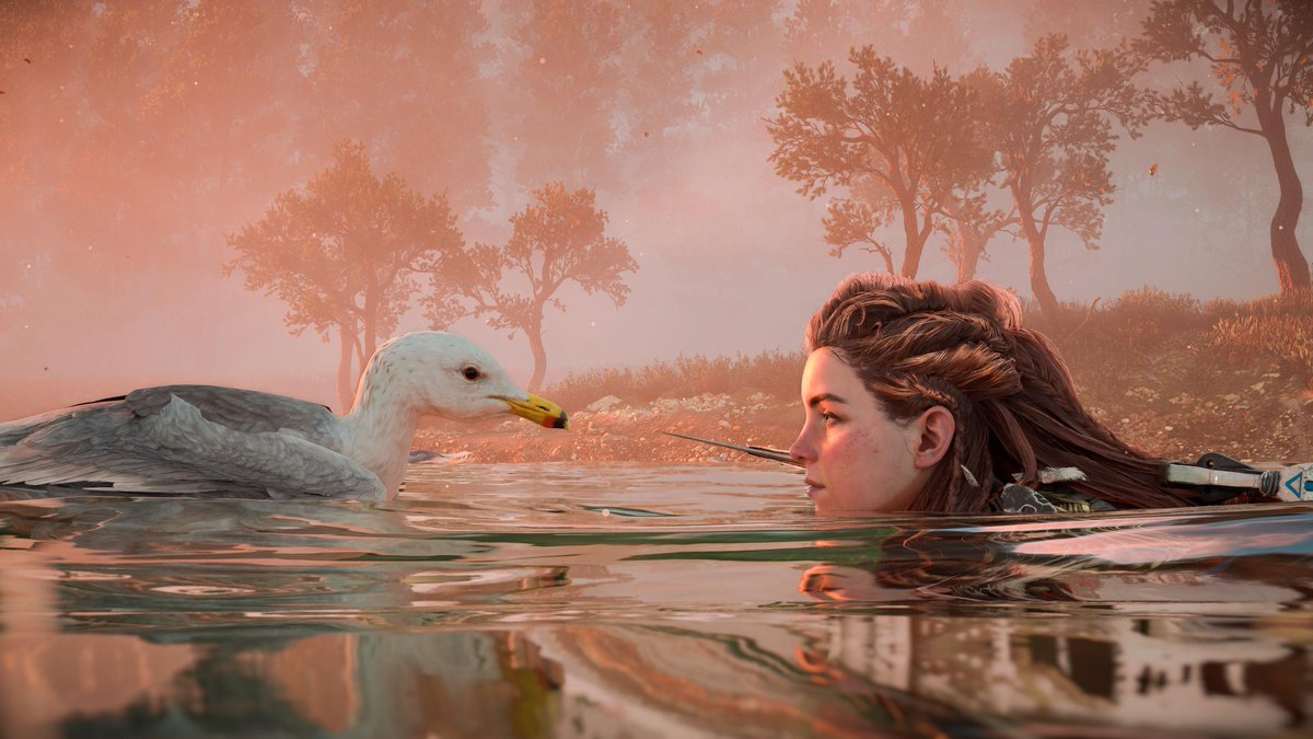 feggio's tweet photo. "They look deeply at each other" #HorizonForbiddenWest #PhotoMode https://t.co/UcdyVZO4oX