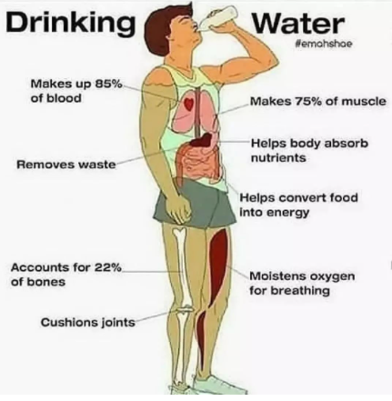 FolksHealthy's tweet photo. health and fitness tips, like &amp; share post, more health plan link in bio @FolksHealthy . #healthytips #fitnesstips #healthylife #healthyfolks #fitnessjourney #healthydrinks https://t.co/m6c8mE6fsQ