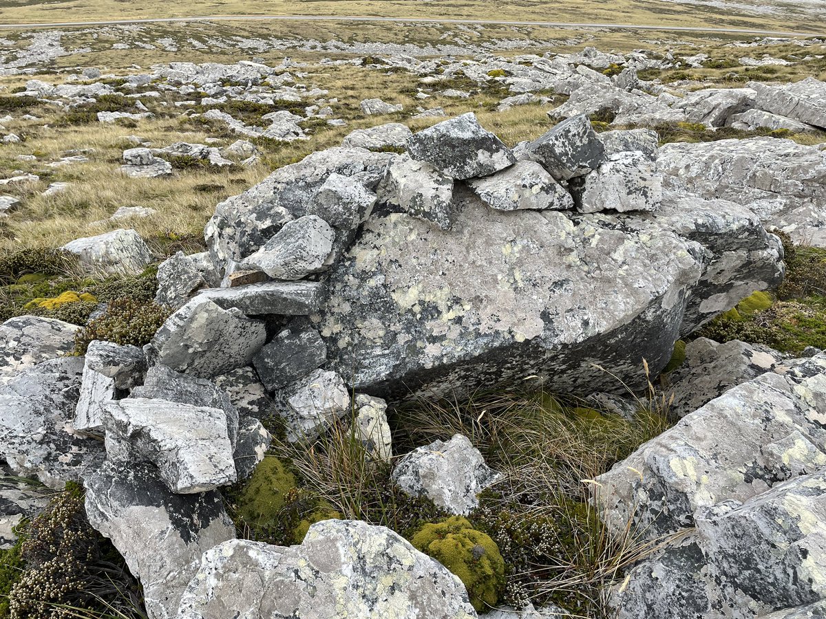 AndzB's tweet photo. Sangars on the east side of Wall Mt overlooking Mt Harriet.
#falklands #falklandislands #falklands40 #falklandswar #1982war https://t.co/6hmq2lEFV3