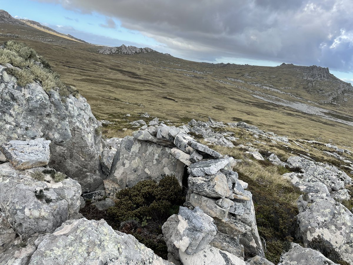 AndzB's tweet photo. Sangars on the east side of Wall Mt overlooking Mt Harriet.
#falklands #falklandislands #falklands40 #falklandswar #1982war https://t.co/6hmq2lEFV3