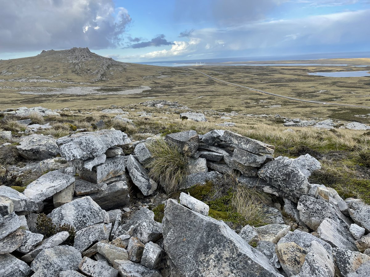 AndzB's tweet photo. Sangars on the east side of Wall Mt overlooking Mt Harriet.
#falklands #falklandislands #falklands40 #falklandswar #1982war https://t.co/6hmq2lEFV3