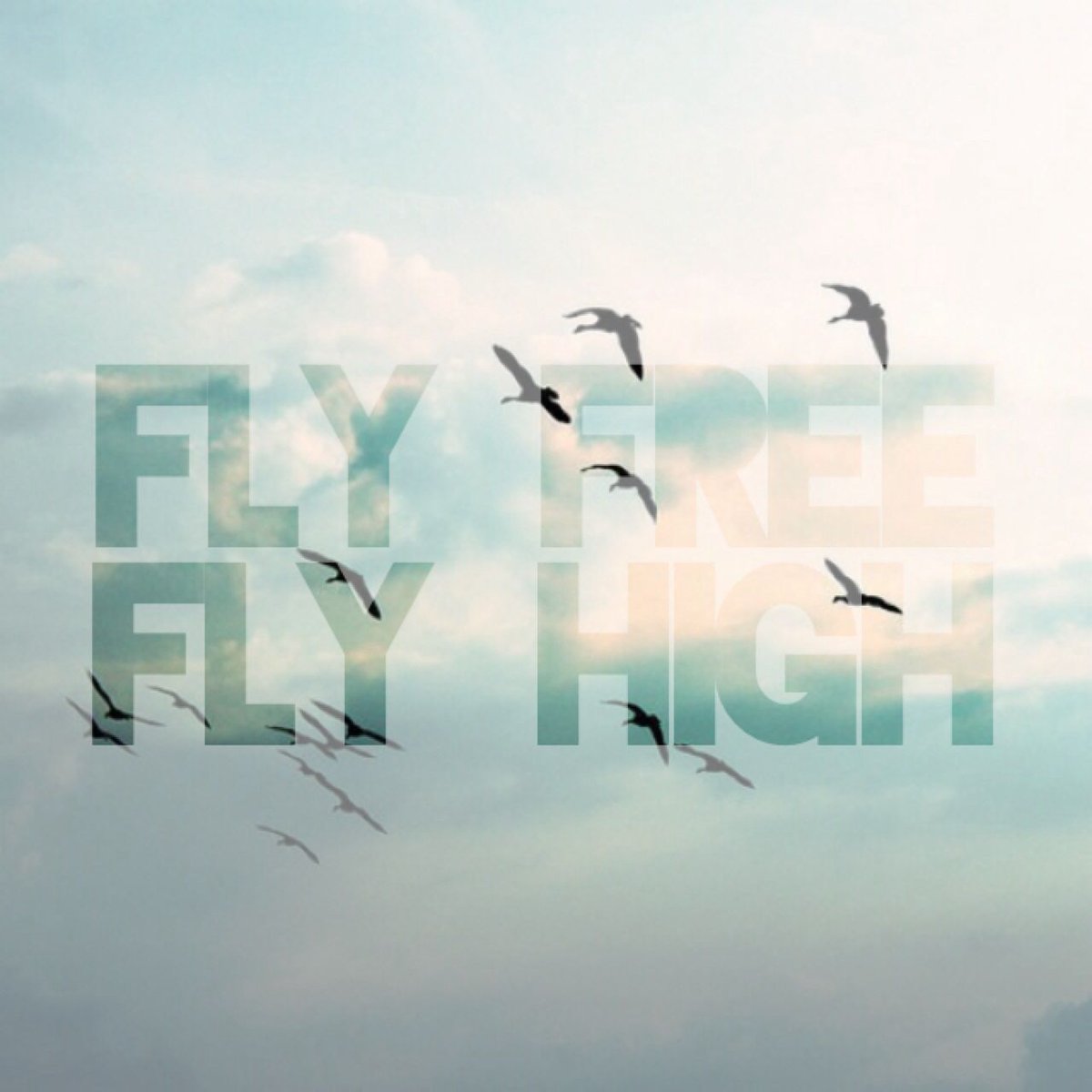Fly high 4. Flying higher and high. Denis sender what is next (extended mix). Dreamcatcher fly high. Flying higher and high.