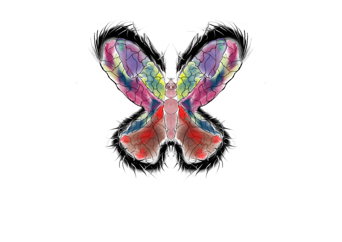 UnfetteredFLY's tweet photo. MY COLLECTION WITH YOU... @Opensea

https://t.co/cA0cNVKoPr

#NFT #NFTs #NFTCommunity #NFTCollection https://t.co/GuzOTSKzGH