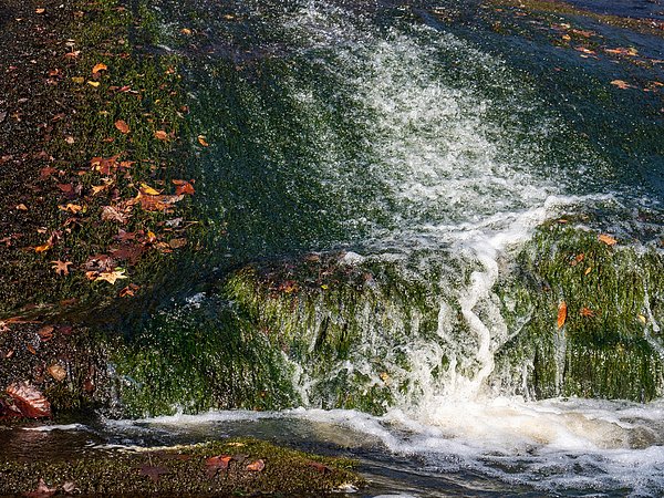 Shutterbatte's tweet photo. New artwork for sale! - "Fall Falls" - https://t.co/eyYUbN1xdJ @fineartamerica https://t.co/PVG2JGgbiM